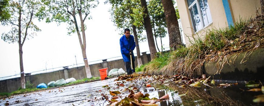 春雨行動
