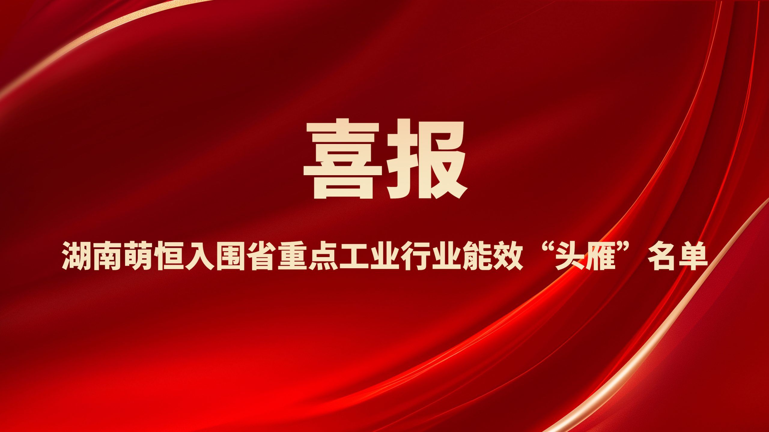 喜報！湖南萌恒入圍省重點工業行業能效“頭雁”名單